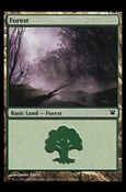 Magic the Gathering: Innistrad (Base Set) card 262 Forest