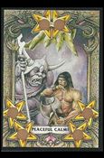 Battle Cards (Base Set) card 43 Peaceful Calm!