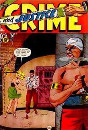 Crime and Justice issue 13