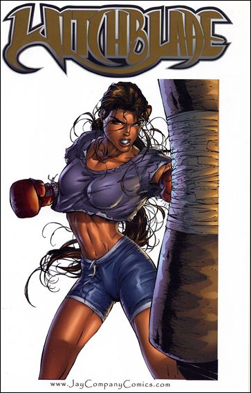 Witchblade Cover Gallery issue 1-B Jay Company Standard Cover