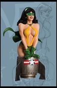 Women of the DC Universe (Series 2) item 10 Phantom Lady