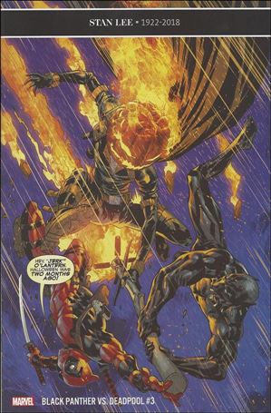 Black Panther vs Deadpool issue 3 Ryan Benjamin Cover