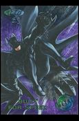 Batman Forever Metal (Base Set) card 41 Built for Speed
