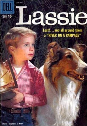 Lassie (1950) issue 44
