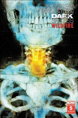 Dark Spaces: Wildfire issue 5-D Martin Simmonds Cover