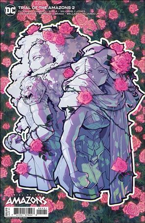 Trial of the Amazons issue 2-B Rose Besch Cardstock Cover