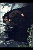 Sleepy Hollow (Movie) (Base Set) card 19 Arrogant Trickster