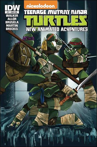 Teenage Mutant Ninja Turtles New Animated Adventures issue 17-B Tanna Tucker Subscription Cover