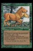 Magic the Gathering: Ice Age (Base Set) card 267 Tarpan