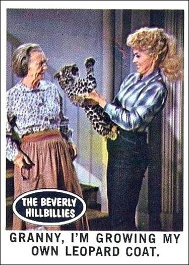 Beverly Hillbillies (Base Set) card 10 Granny, I'm Growing My Own Leopard Coat.