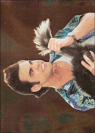 Ace Ventura: When Nature Calls (Foil Embossed Subset) card F8