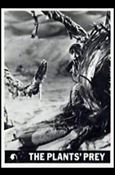 Lost in Space  (Base Set) card 39