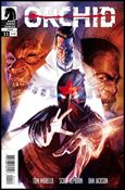 Orchid issue 11