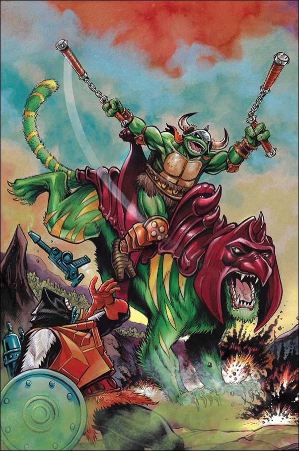 Masters of the Universe / Teenage Mutant Ninja Turtles: Turtles of Grayskull issue 1-E Mike Rooth Retailer Excl. Virgin Connecting Cover