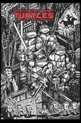 Teenage Mutant Ninja Turtles: The Ultimate Collection issue 3-B Black and White Cover