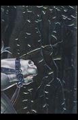 Phantom (Embossed Puzzle Subset) Cover Image 2