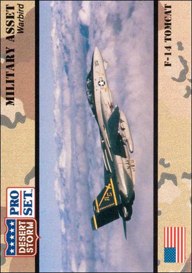 Desert Storm (Base Set) card 221