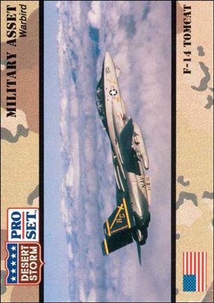Desert Storm (Base Set) card 221