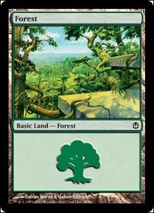 Magic the Gathering: Duel Decks: Ajani vs. Nicol Bolas card 38 Forest