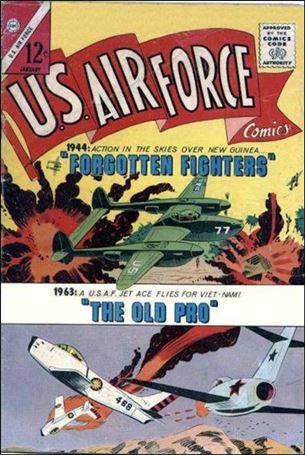 U.S. Air Force issue 31