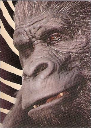 Ace Ventura: When Nature Calls (Base Set) card 20 Gorilla