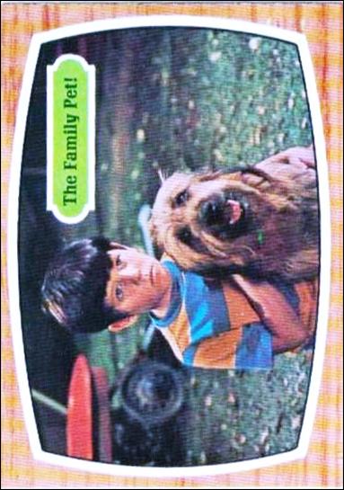 Brady Bunch (Base Set) card 9 The Family Pet!