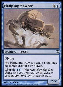 Magic the Gathering: Time Spiral (Base Set) card 63 Fledgling Mawcor