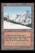 Magic the Gathering: Limited Edition Beta (Base Set) card 283 Taiga