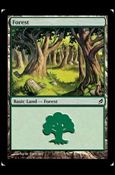 Magic the Gathering: Lorwyn (Base Set) card 300 Forest