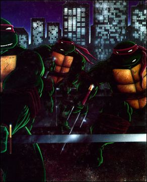 Teenage Mutant Ninja Turtles: The Collected Book issue 1