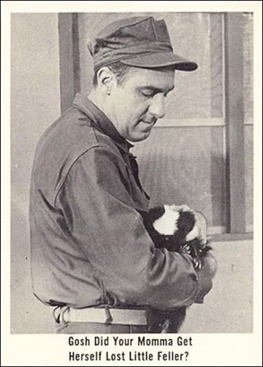 Gomer Pyle (Base Set) card 41 Gosh Did Your Momma Get Herself Lost Little Feller