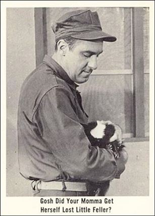 Gomer Pyle (Base Set) card 41 Gosh Did Your Momma Get Herself Lost Little Feller