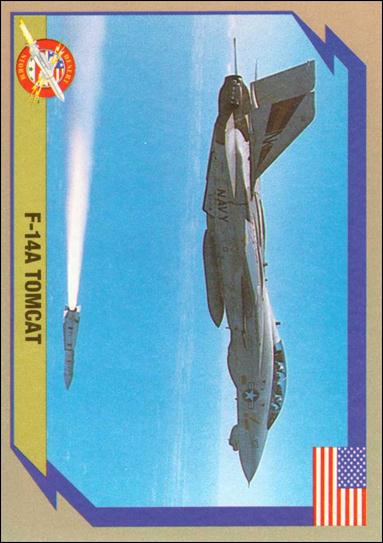 Desert Storm Weapon Profiles Cards (Base Set) card 11