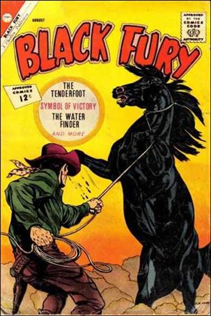 Black Fury issue 37