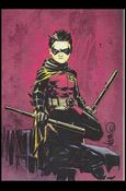DC Comics: The New 52 (Base Set) card 44 Robin