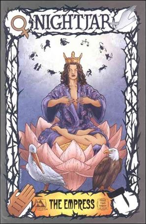 Nightjar issue 2-C Tarot Card Cover