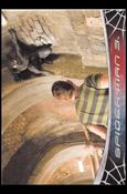 Spider-Man 3: The Movie (Base Set) card 47