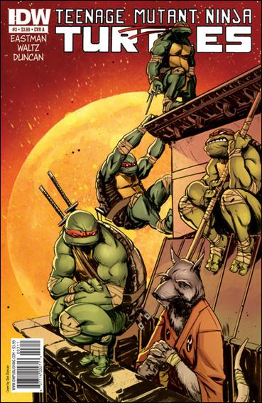 Teenage Mutant Ninja Turtles (2011) issue 3 Dan Duncan Cover