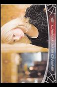 Spider-Man 3: The Movie (Base Set) card 37