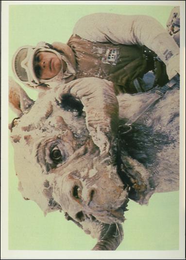 Empire Strikes Back Photo Cards (Base Set) card 13