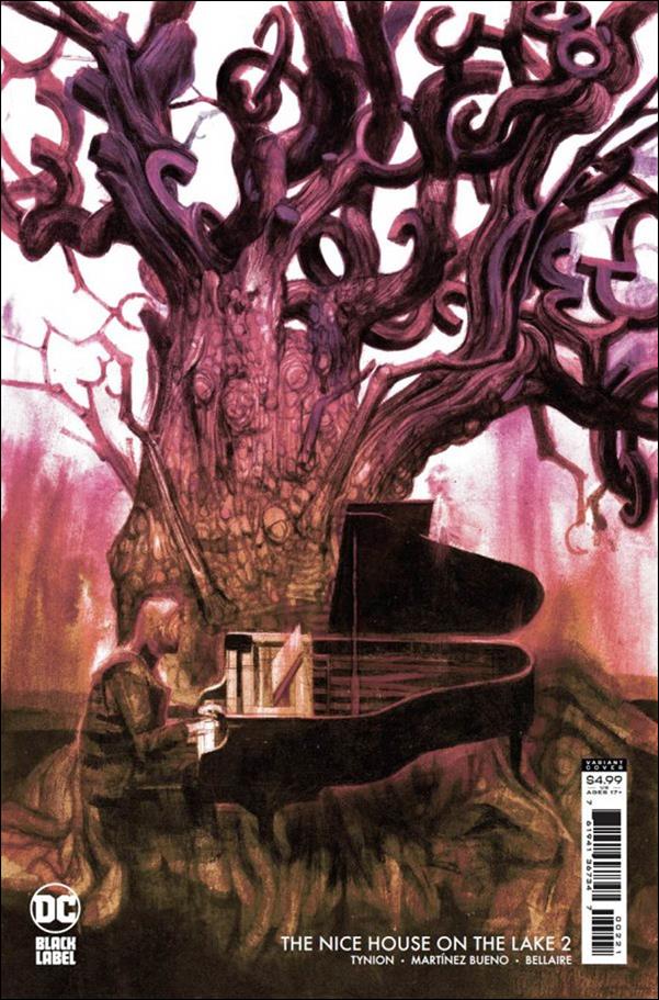 Nice House on the Lake issue 2-B Anand Radhakrisnon Cardstock Cover