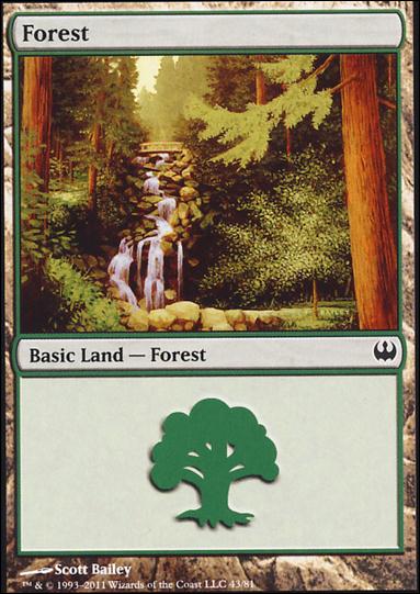 Magic the Gathering: Duel Decks: Knights vs. Dragons (Base Set) card 43 Forest
