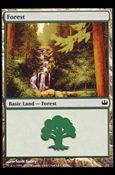 Magic the Gathering: Duel Decks: Knights vs. Dragons (Base Set) card 43 Forest