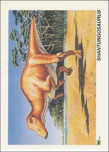 DinoCardz (Base Set) card 14 Shantungosaurus