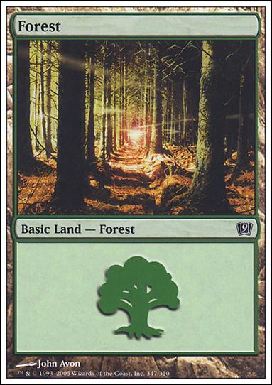 Magic the Gathering: 9th Edition (Base Set) card 347 Forest