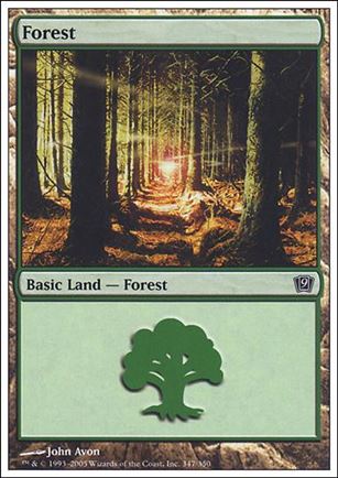 Magic the Gathering: 9th Edition (Base Set) card 347 Forest