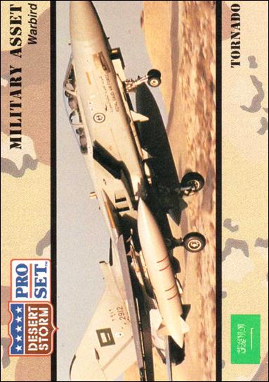 Desert Storm (Base Set) card 232