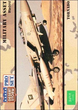 Desert Storm (Base Set) card 232