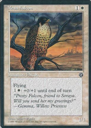 Magic the Gathering: Homelands (Base Set) card 10-B Mesa Falcon