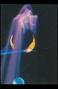 Heavy Metal (Base Set) card 22 Science Experiment